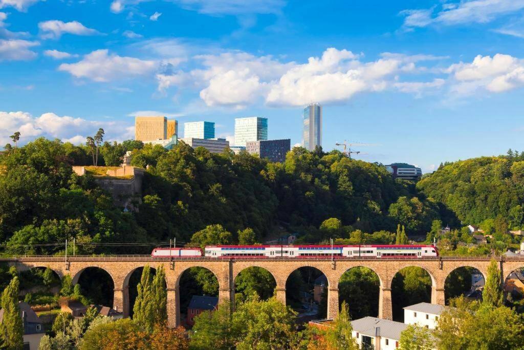 Large Family Retro Flat In City Center- Large Terrace & Garden View, Free Parking Luxemburg Exteriör bild