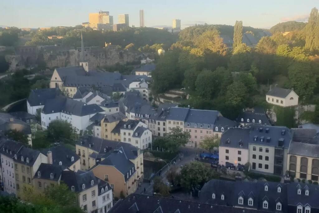 Large Family Retro Flat In City Center- Large Terrace & Garden View, Free Parking Luxemburg Exteriör bild