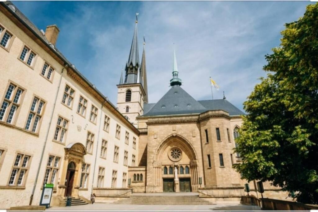 Large Family Retro Flat In City Center- Large Terrace & Garden View, Free Parking Luxemburg Exteriör bild