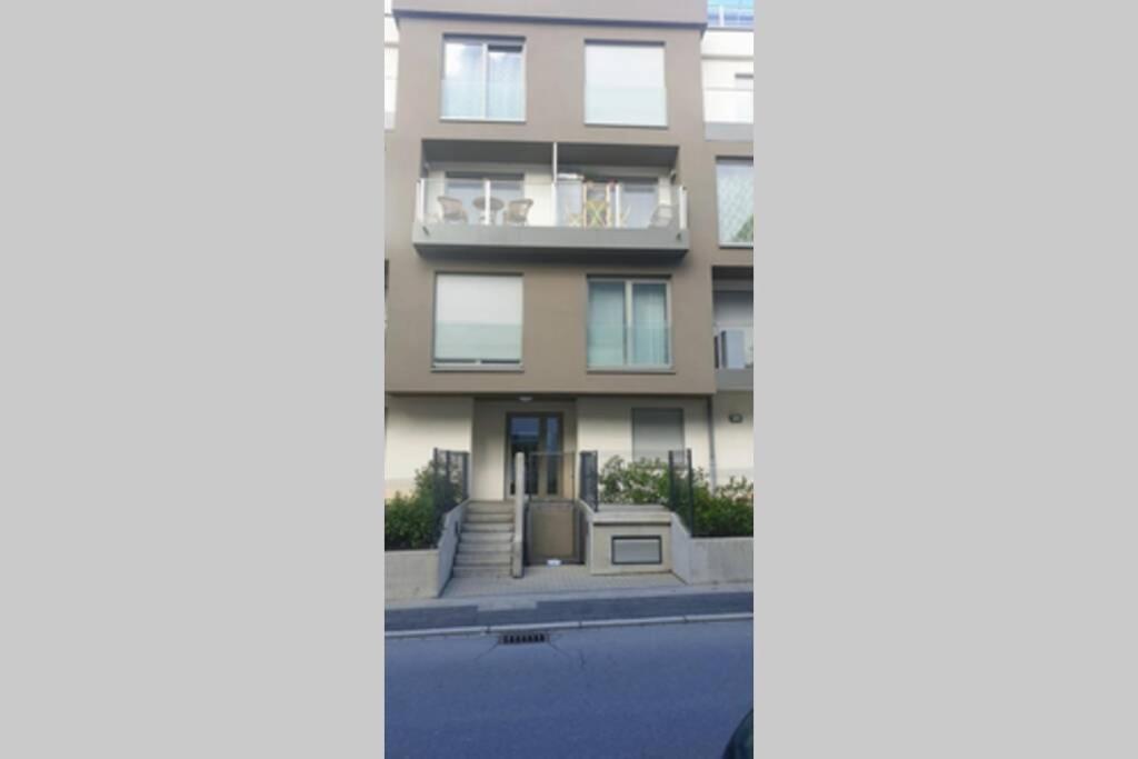 Large Family Retro Flat In City Center- Large Terrace & Garden View, Free Parking Luxemburg Exteriör bild